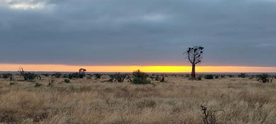 Tsavo East and Tsavo West Sanctuary Safari - Meals and full board: what that means for your day