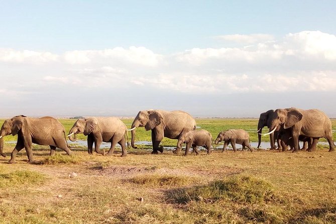 Tsavo East & west, Amboseli 5days from Mombasa - Day 2: Mzima Springs to Tsavo West, Ngulia Safari Lodge, Big-Elephant Country