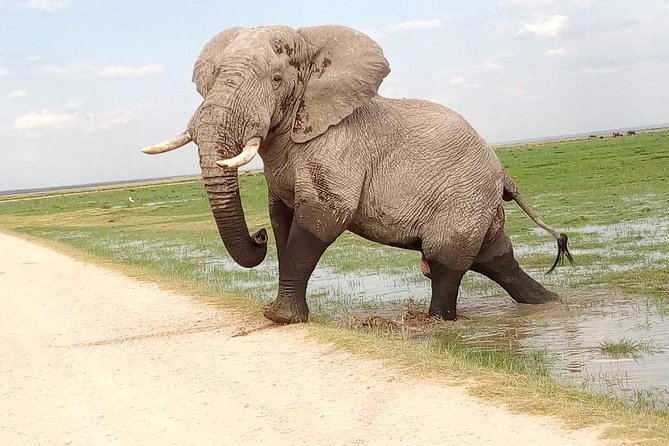 Tsavo East & west, Amboseli 5days from Mombasa - What the Price Includes (And Why It Matters for Value)