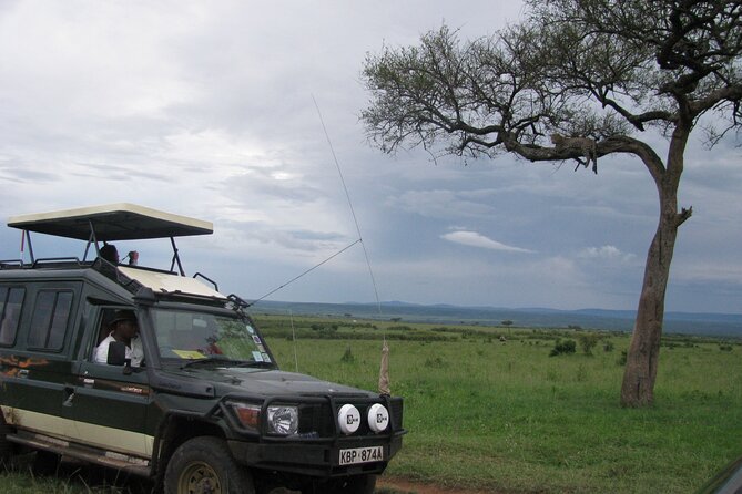 Ultimate 12 Days Private Safari Tour in Kenya and Tanzania - Masai Mara National Reserve: golden savannah drives and early-morning starts