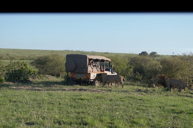 Ultimate 12 Days Private Safari Tour in Kenya and Tanzania - Ol Pejeta Conservancy first: lions, black rhino, and the conservation side of safari