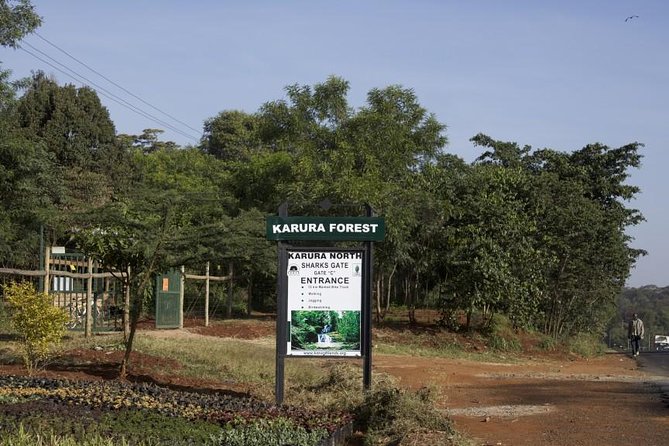 Urban Forest Tour in Nairobi - Why This Karura Forest Walking Tour Feels Like More Than a Stroll