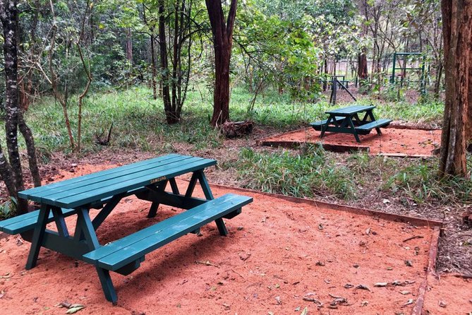 Urban Forest Tour in Nairobi - Karura Forest, Less Than 10 Minutes From Nairobi’s Center