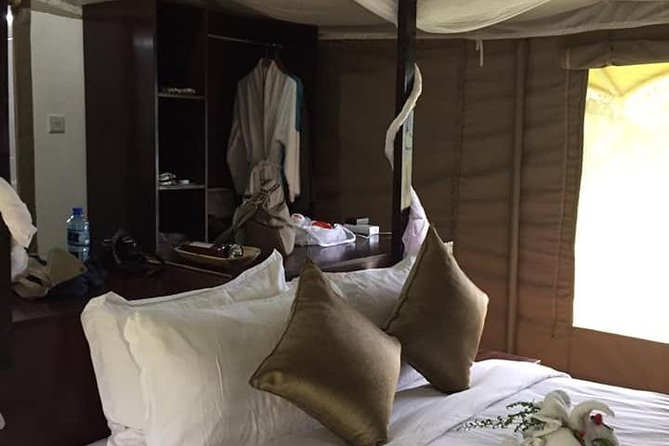 Vegans special safari - Maasai Mara National Reserve: prime game viewing, Mara River drama, and full-day chances