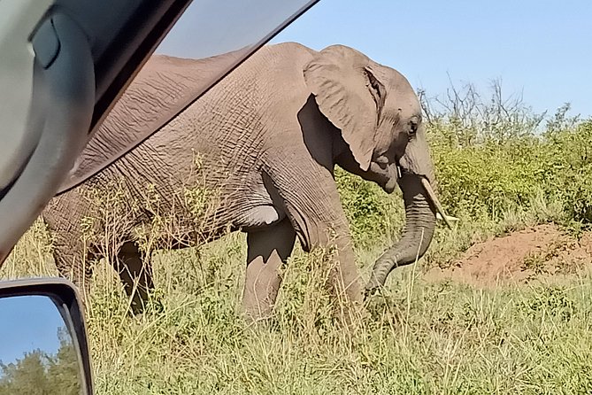 Vegans special safari - Lake Nakuru: rhinos, flamingos, and the Masika waterfall stop