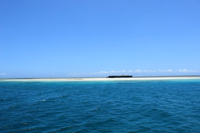 Wasini Day Tour - Shimoni pier to Swahili dhow: dolphins, drinks, and that Zanzibar coast feeling