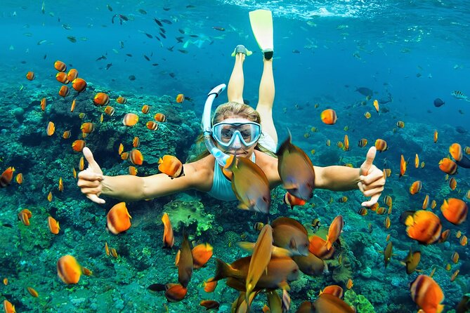Wasini Dolphin Snorkeling - Starting Early: Pickup, Meeting Point, and Why It Matters