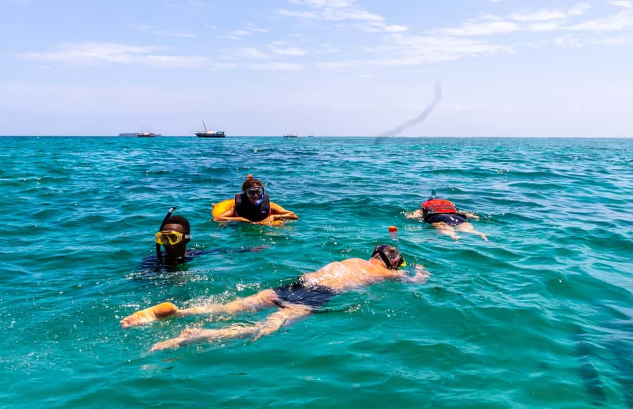 Wasini Island: Dolphin Spotting & Snorkel at Kisite Mpunguti - How the 9-Hour Route Works From Mombasa, Tiwi, and Nearby Beaches