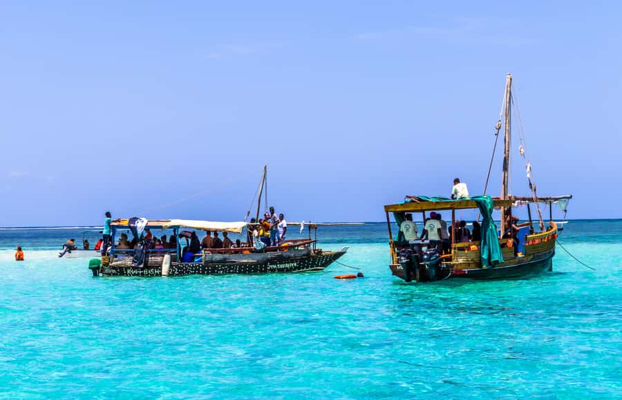 Wasini Island: Dolphin Spotting & Snorkel at Kisite Mpunguti - Snorkeling at Kisite Mpunguti: What You’ll See and How It Feels