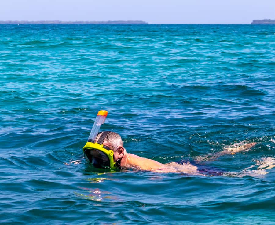 Wasini Island: Dolphin Spotting & Snorkel at Kisite Mpunguti - Wasini Island Seafood Lunch and a Village Walk With Context
