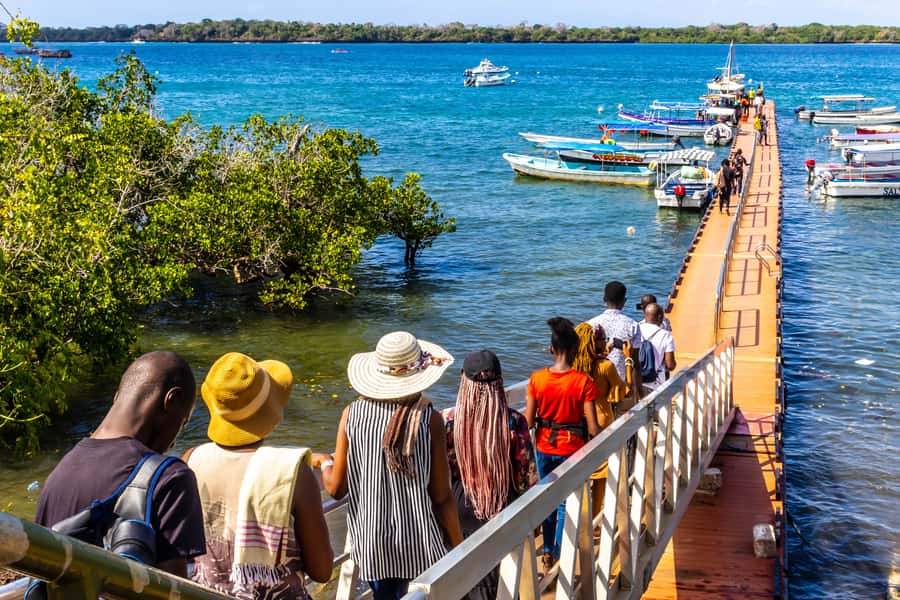 Wasini Island: Dolphin Spotting & Snorkel at Kisite Mpunguti - Price and Value: Does $130 Really Add Up?