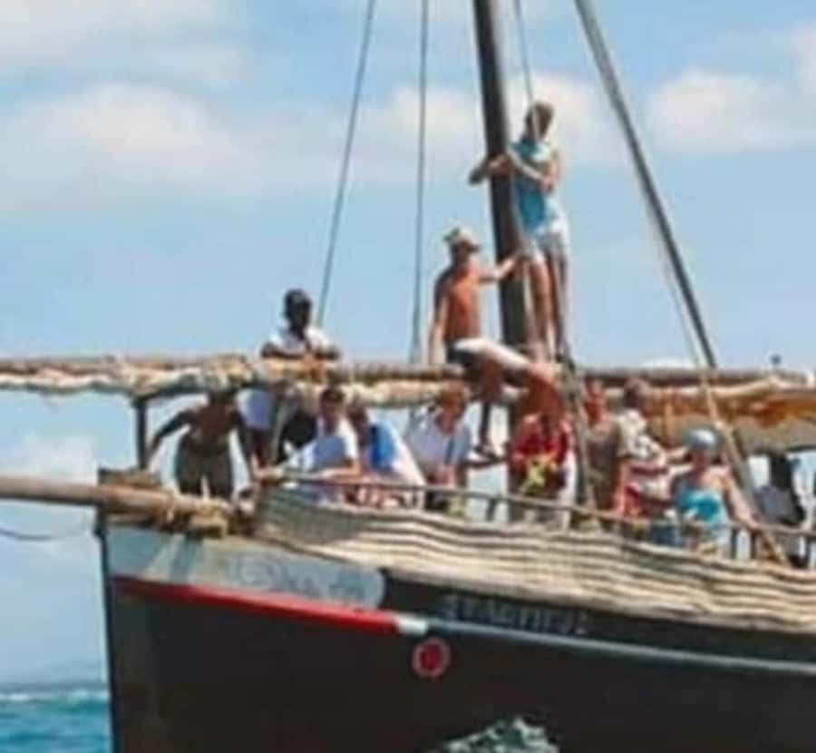 Wasini island: Marine Park, Dolphin Watch & Village Tour - Price and logistics: $132 in value terms, not just cost