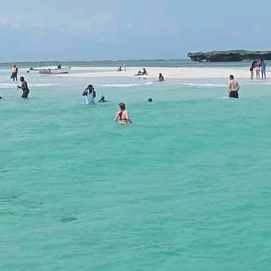 Wasini island: Marine Park, Dolphin Watch & Village Tour - What to pack, and boat-day reality checks