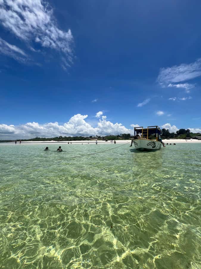 WATAMU: MALINDI: SARDEGNA ISLAND & MALINDI MARINE PARK - Quick reasons this trip is worth your time