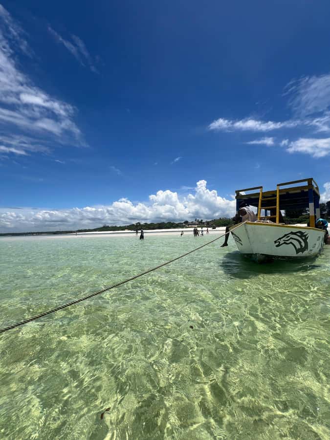 WATAMU: MALINDI: SARDEGNA ISLAND & MALINDI MARINE PARK - Price and value: what you’re really paying for at about $100
