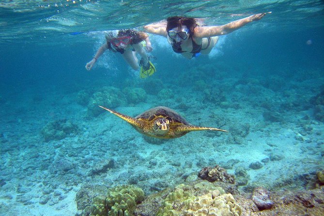 Watamu Marine Park & Sudi Island Mangrove Forest Canoe Ride.With sea food lunch - Leaving Mombasa: the morning drive that shapes the day