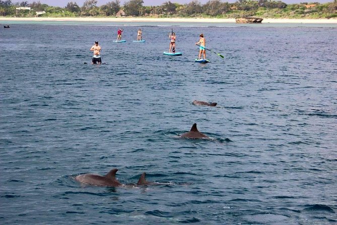 Watamu Marine Park & Sudi Island Mangrove Forest Canoe Ride.With sea food lunch - Sudi Island mangrove canoe ride: slowing down where the roots create habitat