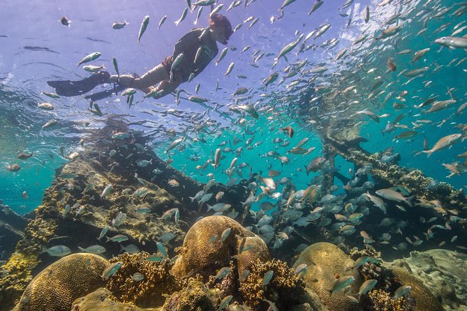 Watamu Marine Park & Sudi Island Mangrove Forest Canoe Ride.With sea food lunch - Seafood lunch on the beach: filling fuel without the fuss