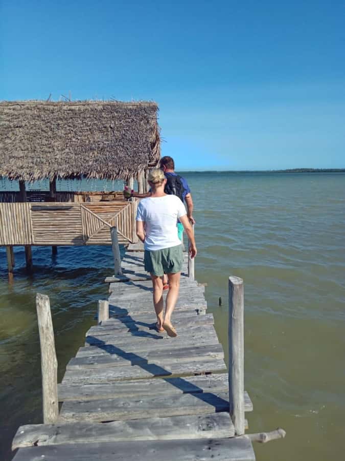 Watamu: Sunset Mangrove Canoe Tour with Coconut Drink - Timing and tide choices: low tide vs high tide in plain terms