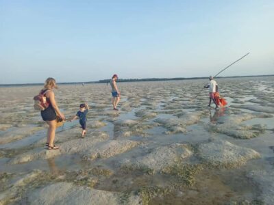 Sunset Mangrove Canoe Tour with Coconut Drink