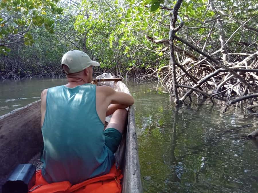 Watamu: Sunset Mangrove Canoe Tour with Coconut Drink - Giriama village stop: coconut refreshment and a real community feel