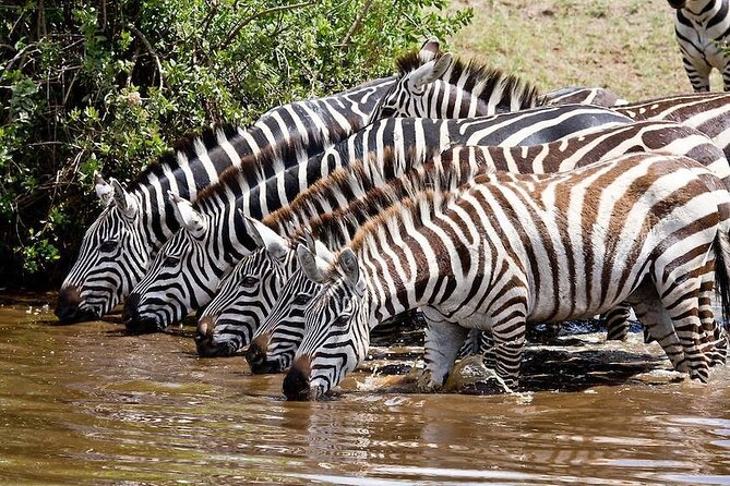 Wildebeest Migration in Masai Mara and Sightseeing 4 Days Tour - Maasai Mara Wildebeest Migration, Naivasha Nature, and Hell’s Gate Geothermal Views